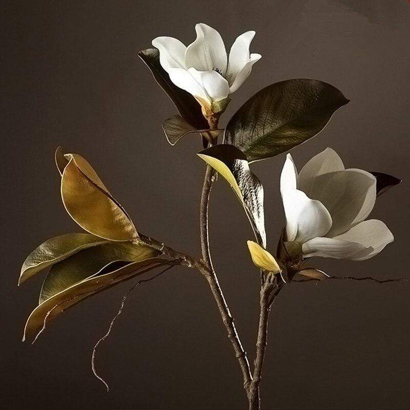 Kukkakoriste Magnolia Kukka Kaunis