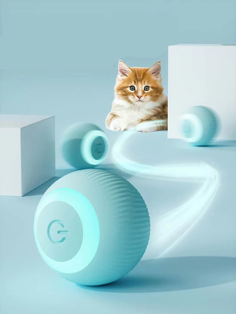 Pet Gravity Ball - Image 7