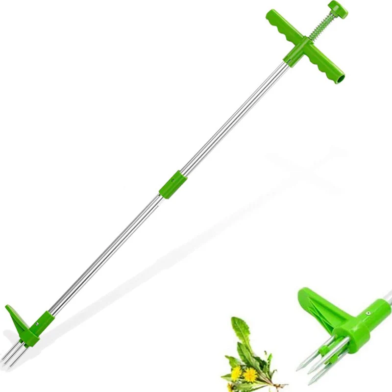 Pikkukuva 2